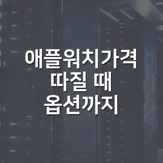 애플워치가격 따질 때 옵션까지 비교하는 방법 - 요약