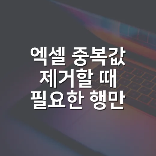 엑셀 중복값 제거할 때 필요한 행만 남기는 방법 - 요약