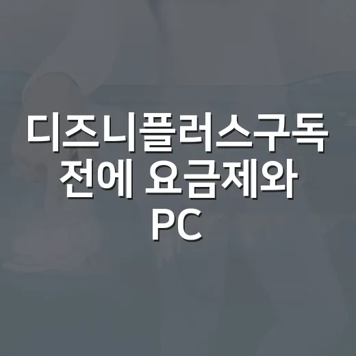 디즈니플러스구독 전에 요금제와 PC 화질 확인하는 방법 - 요약