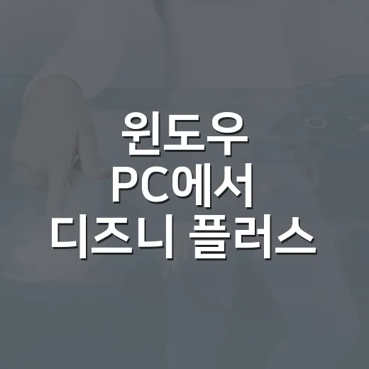 윈도우 PC에서 디즈니 플러스 재생 오류 해결하는 방법 - 요약