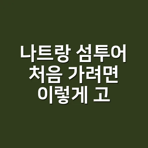 나트랑 섬투어 처음 가려면 이렇게 고르세요 - 요약