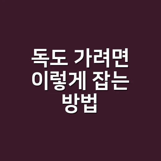 독도 가려면 이렇게 잡는 방법: 울릉도 배편부터 접안 실패까지 - 요약