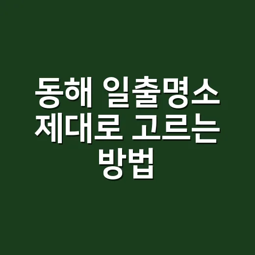 동해 일출명소 제대로 고르는 방법, 차보다 배 시간이 먼저입니다 - 요약