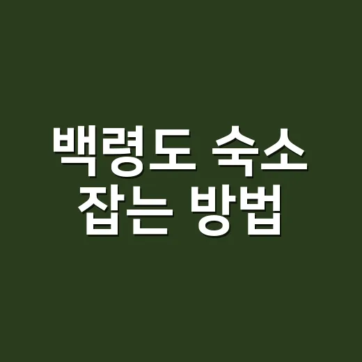 백령도 숙소 잡는 방법, 배 시간부터 보고 동선 맞추기 - 요약