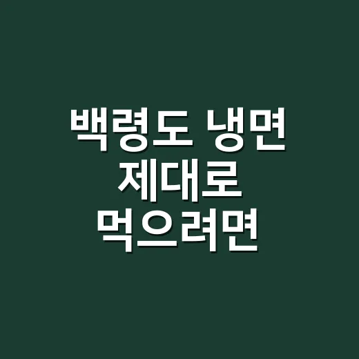 백령도 냉면 제대로 먹으려면 이렇게 움직이면 됩니다 - 요약
