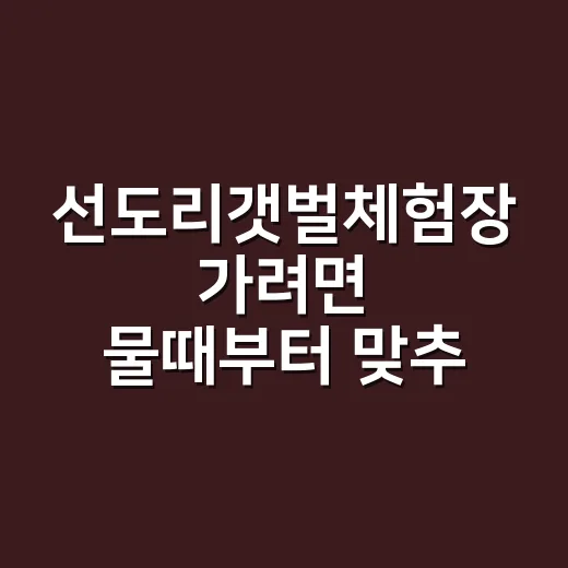 선도리갯벌체험장 가려면 물때부터 맞추는 방법 - 요약