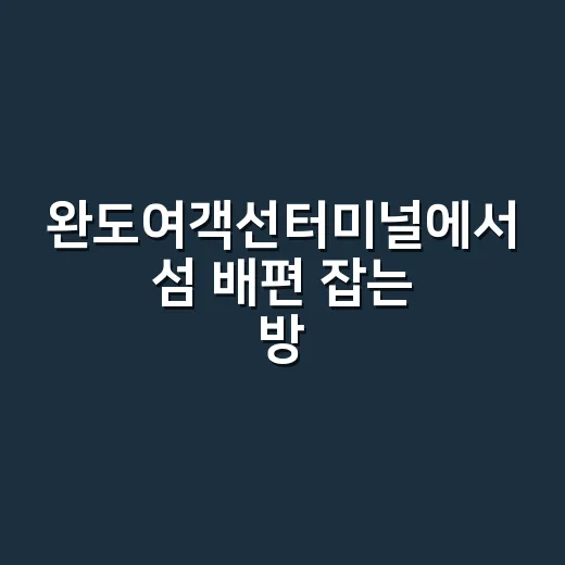 완도여객선터미널에서 섬 배편 잡는 방법, 초보자는 이렇게 움직이면 덜 헤맵니다 - 요약