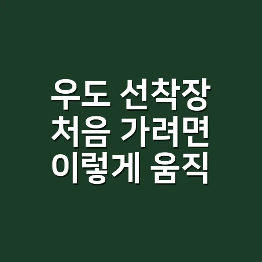 우도 선착장 처음 가려면 이렇게 움직이면 덜 헤맵니다 - 요약