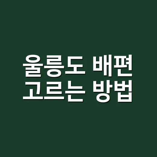 울릉도 배편 고르는 방법, 초보자는 항구보다 배 종류부터 보세요 - 요약