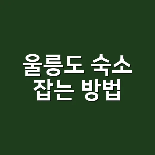 울릉도 숙소 잡는 방법, 배 시간부터 보고 위치를 고르면 덜 고생합니다 - 요약
