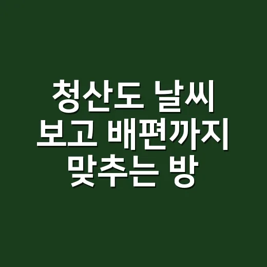 청산도 날씨 보고 배편까지 맞추는 방법 - 요약