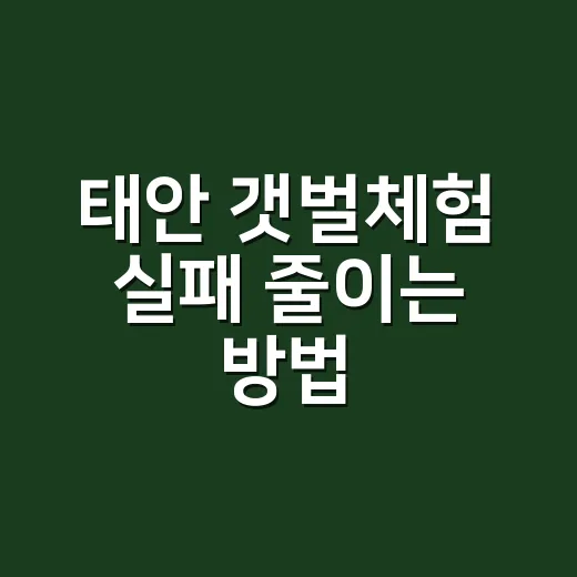 태안 갯벌체험 실패 줄이는 방법, 물때부터 장소 선택까지 - 요약