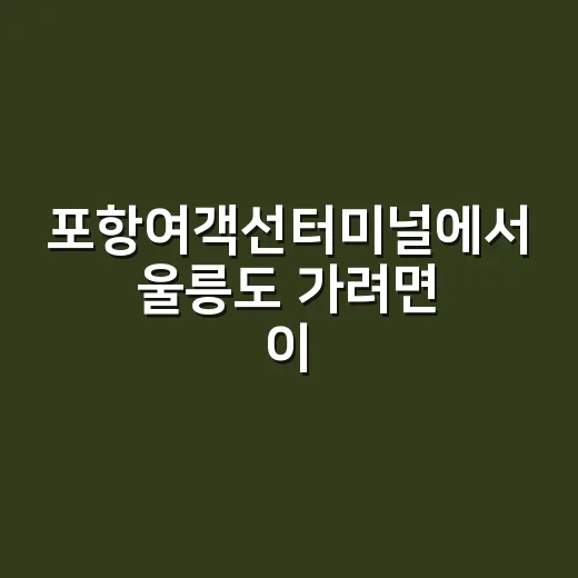 포항여객선터미널에서 울릉도 가려면 이렇게 움직이면 됩니다 - 요약