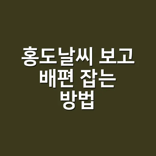 홍도날씨 보고 배편 잡는 방법, 초보자는 이렇게 움직이면 덜 고생합니다 - 요약