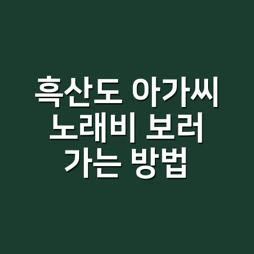 흑산도 아가씨 노래비 보러 가는 방법, 목포 배편부터 상라산 동선까지 - 요약