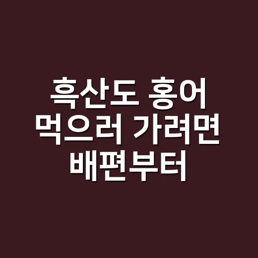 흑산도 홍어 먹으러 가려면 배편부터 잡는 방법 - 요약