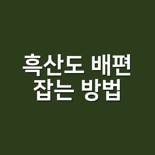 흑산도 배편 잡는 방법, 목포 출발 시간표부터 섬 안 이동까지 - 요약