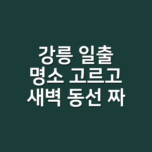 강릉 일출 명소 고르고 새벽 동선 짜는 방법 - 요약
