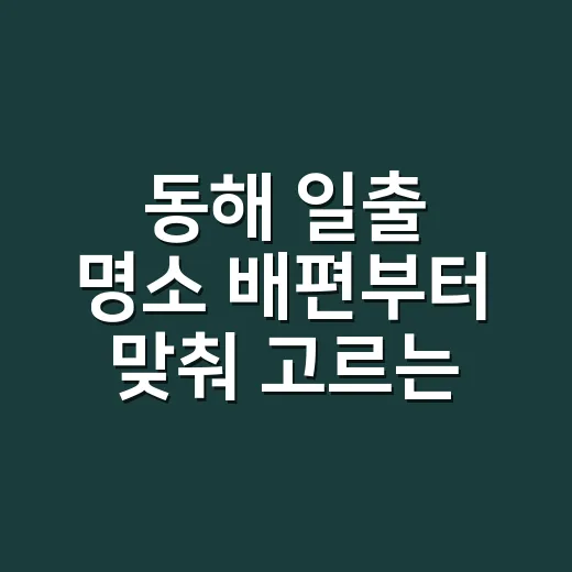 동해 일출 명소 배편부터 맞춰 고르는 방법 - 요약