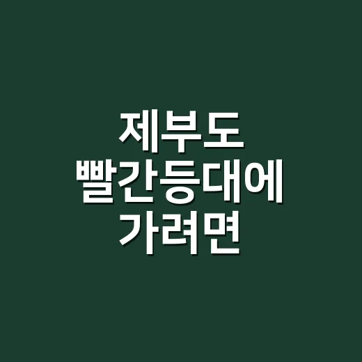 제부도 빨간등대에 가려면 물때부터 확인하는 방법 - 요약