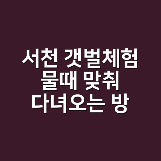 서천 갯벌체험 물때 맞춰 다녀오는 방법 - 요약