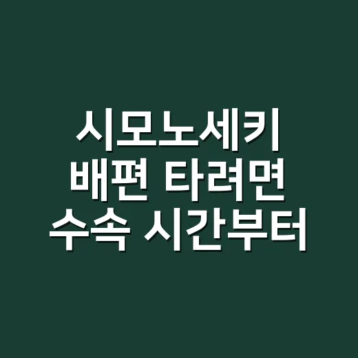 시모노세키 배편 타려면 수속 시간부터 잡는 방법 - 요약