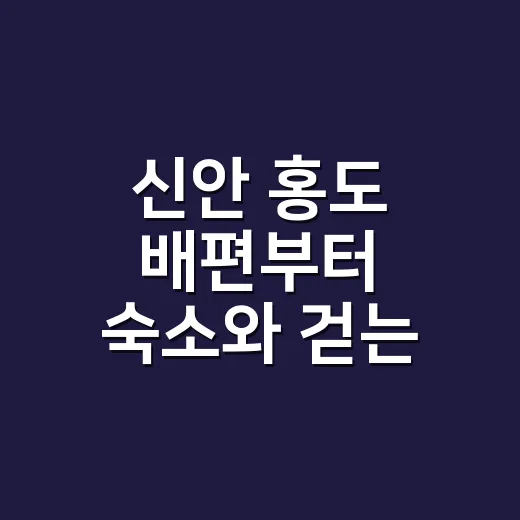 신안 홍도 배편부터 숙소와 걷는 길까지 잡는 방법 - 요약