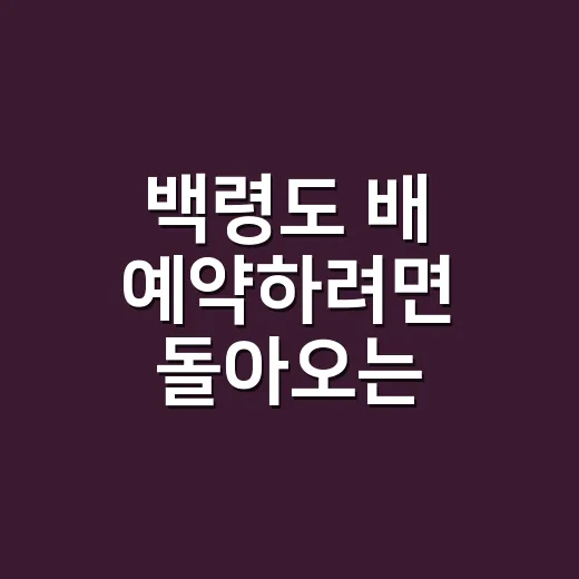 백령도 배 예약하려면 돌아오는 편부터 고르세요 - 요약