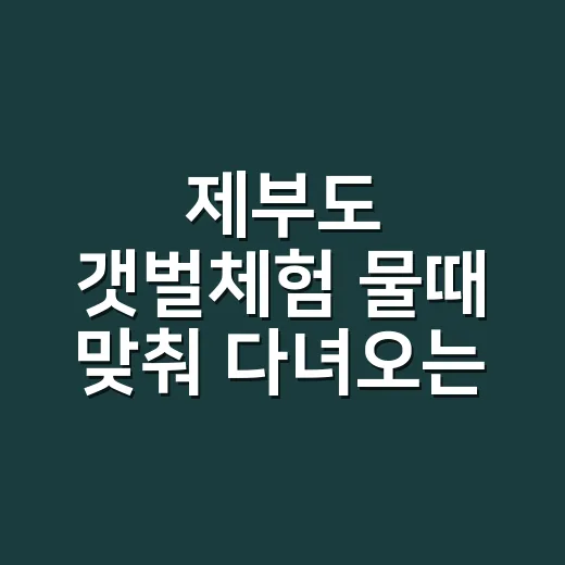 제부도 갯벌체험 물때 맞춰 다녀오는 방법 - 요약