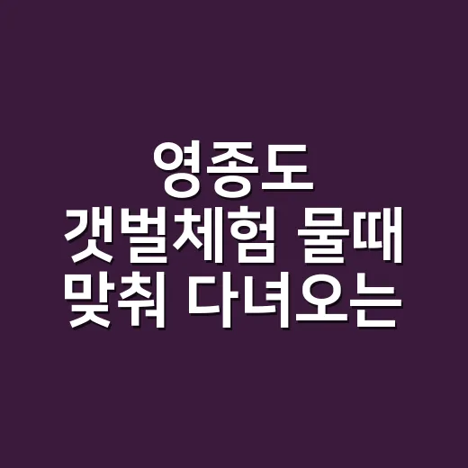 영종도 갯벌체험 물때 맞춰 다녀오는 방법 - 요약