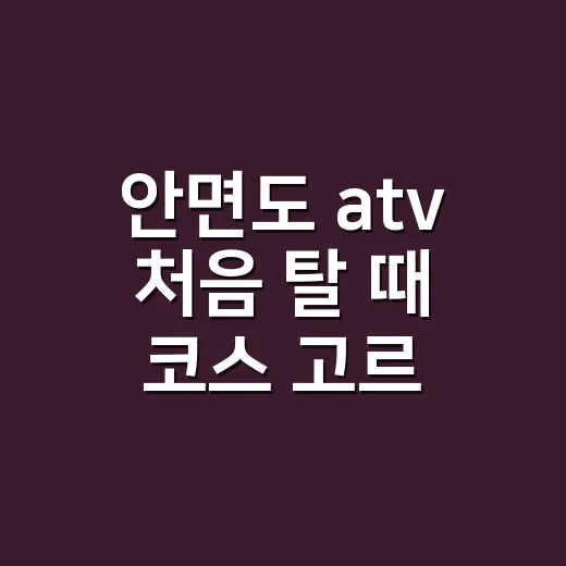 안면도 atv 처음 탈 때 코스 고르는 방법 - 요약