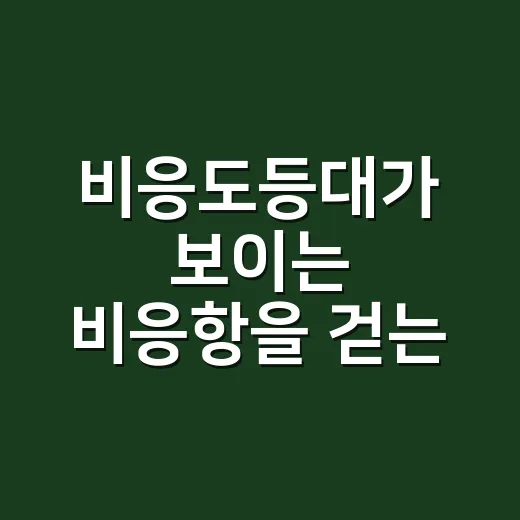 비응도등대가 보이는 비응항을 걷는 방법 - 요약