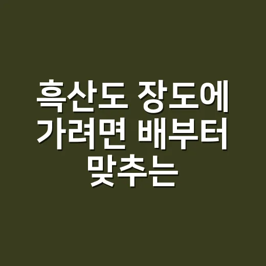 흑산도 장도에 가려면 배부터 맞추는 방법 - 요약