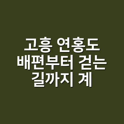고흥 연홍도 배편부터 걷는 길까지 계획하는 방법 - 요약