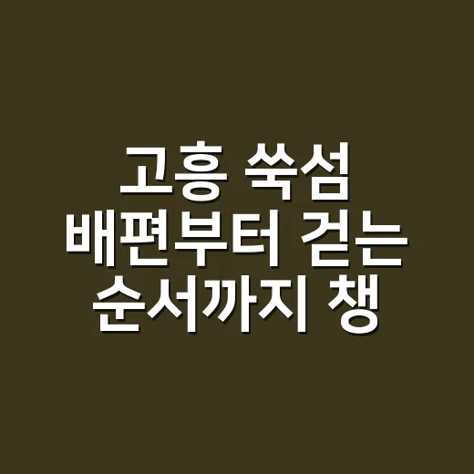 고흥 쑥섬 배편부터 걷는 순서까지 챙기는 방법 - 요약