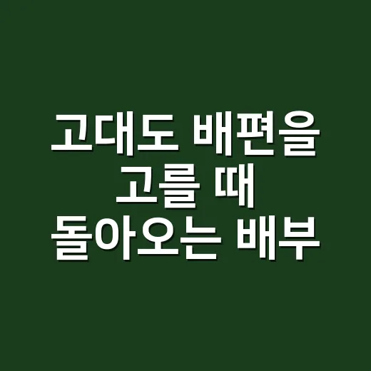 고대도 배편을 고를 때 돌아오는 배부터 보는 방법 - 요약