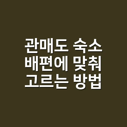 관매도 숙소 배편에 맞춰 고르는 방법 - 요약