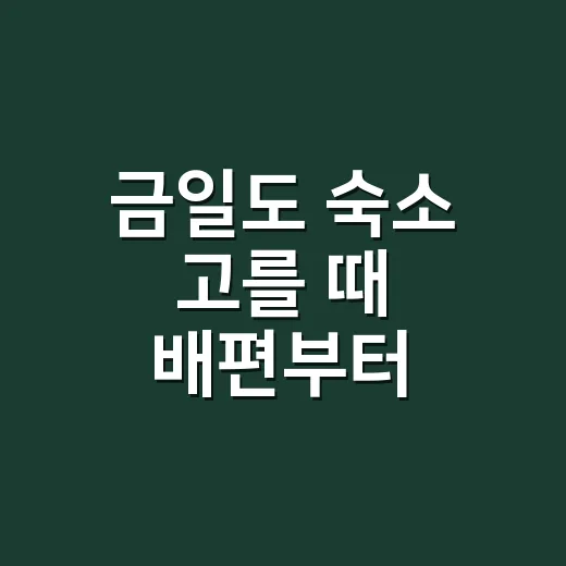 금일도 숙소 고를 때 배편부터 맞추는 방법 - 요약
