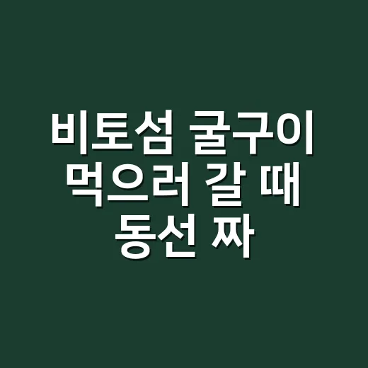 비토섬 굴구이 먹으러 갈 때 동선 짜는 방법 - 요약