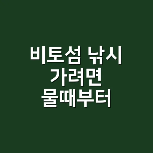 비토섬 낚시 가려면 물때부터 맞추는 방법 - 요약