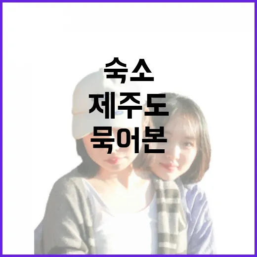 제주도숙소 100곳 넘게 묵어본 사람이 말하는 사진 밖의 진짜 이야기 - 요약