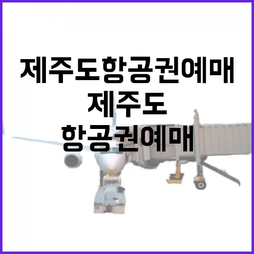 제주도항공권예매 여러 번 망해봤더니 보이던 진짜 차이 - 요약