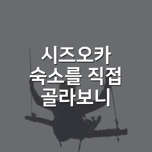 시즈오카 숙소를 직접 골라보니, 후지산 뷰보다 먼저 봐야 할 것들 - 요약