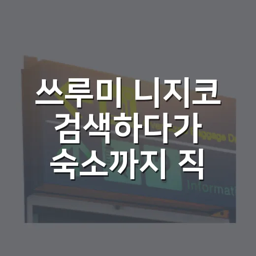 쓰루미 니지코 검색하다가 숙소까지 직접 고르듯 따져본 이야기 - 요약