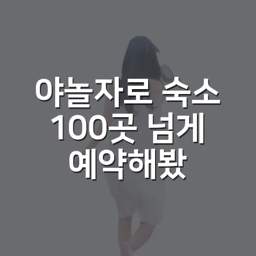 야놀자로 숙소 100곳 넘게 예약해봤더니 사진보다 먼저 보게 된 것들 - 요약