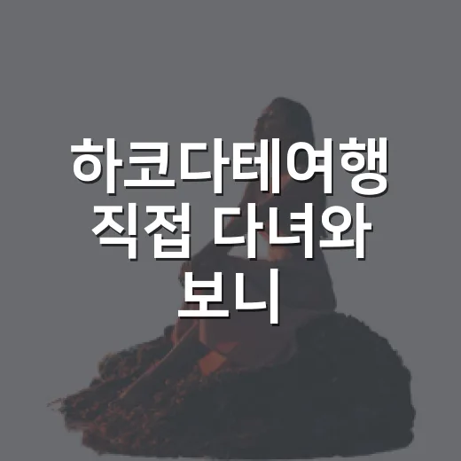 하코다테여행 직접 다녀와 보니, 숙소 위치 하나로 만족도가 갈렸다 - 요약