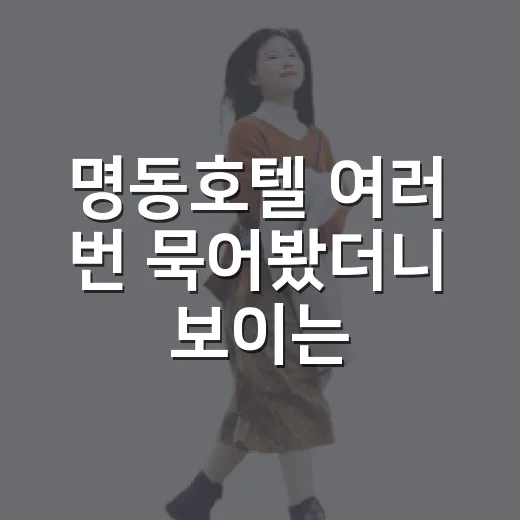 명동호텔 여러 번 묵어봤더니 보이는 진짜 차이 - 요약