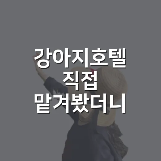 강아지호텔 직접 맡겨봤더니, 사진보다 더 봐야 할 것들이 있었습니다 - 요약