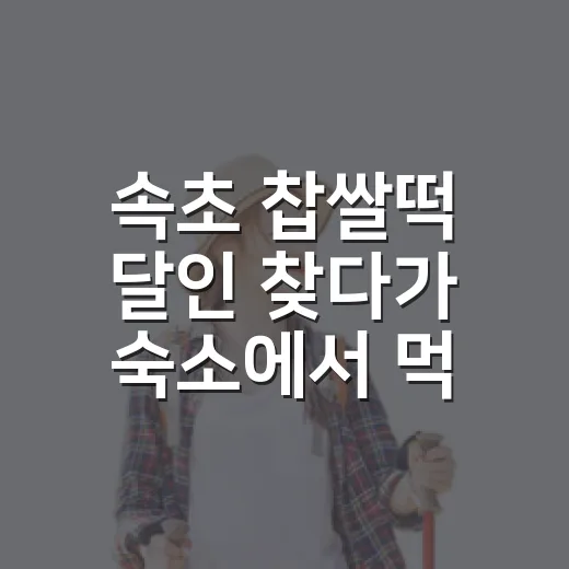 속초 찹쌀떡 달인 찾다가 숙소에서 먹기 좋은 떡 고르는 법까지 알게 된 후기 - 요약