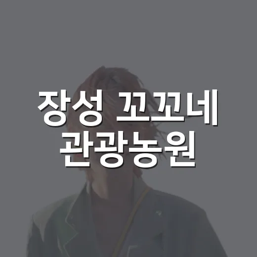 장성 꼬꼬네 관광농원, 자연 속 숙소를 고를 때 기대치를 낮춰봤더니 - 요약